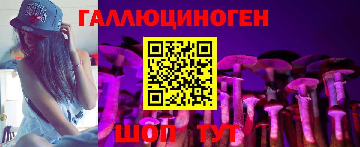 Галлюциногенные грибы Cubensis Белово